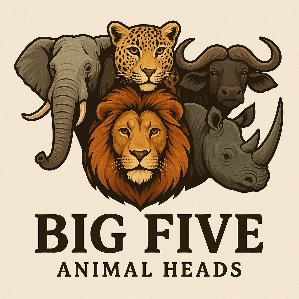 Beer Labels design